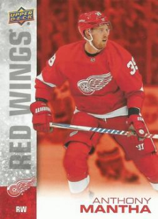 Anthony Mantha Detroit Red Wings Tim Hortons Detroit Red Wings Team Set 2019/20 #20