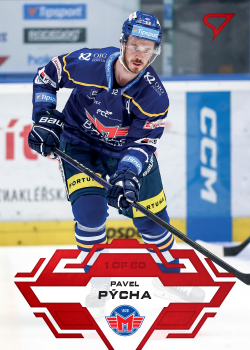 Pavel Pycha Ceske Budejovice Tipsport ELH 2023/24 SportZoo 1. serie Goal Light /60 #222