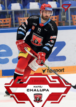 Matej Chalupa Hradec Kralove Tipsport ELH 2023/24 SportZoo 1. serie Goal Light /60 #27