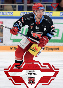 Ales Jergl Hradec Kralove Tipsport ELH 2023/24 SportZoo 1. serie Goal Light /60 #29