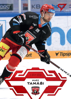 Alex Tamasi Hradec Kralove Tipsport ELH 2023/24 SportZoo 1. serie Goal Light /60 #35