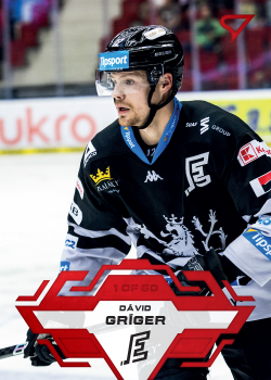 David Griger Karlovy Vary Tipsport ELH 2023/24 SportZoo 1. serie Goal Light /60 #155