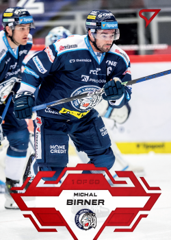 Michal Birner Liberec Tipsport ELH 2023/24 SportZoo 1. serie Goal Light /60 #98