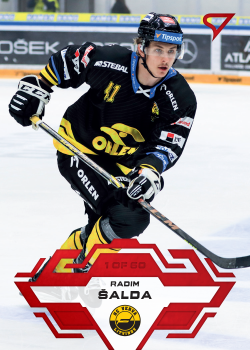 Radim Salda Litvinov Tipsport ELH 2023/24 SportZoo 1. serie Goal Light /60 #186