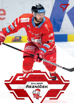 Dalibor Reznicek Olomouc Tipsport ELH 2023/24 SportZoo 1. serie Goal Light /60 #132