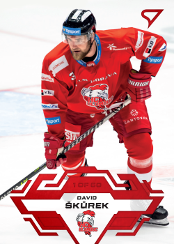 David Skurek Olomouc Tipsport ELH 2023/24 SportZoo 1. serie Goal Light /60 #134