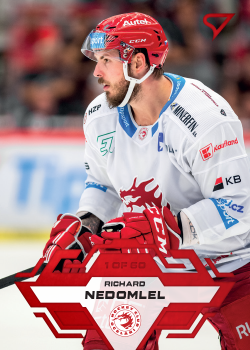 Richard Nedomlel Trinec Tipsport ELH 2023/24 SportZoo 1. serie Goal Light /60 #5