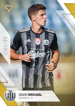 David Broukal Ceske Budejovice SportZoo FORTUNA:LIGA 2022/23 2. serie Gold /99 #306
