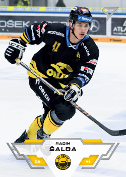 Radim Salda Litvinov Tipsport ELH 2023/24 SportZoo 1. serie #186