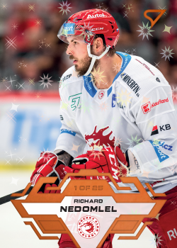 Richard Nedomlel Trinec Tipsport ELH 2023/24 SportZoo 1. serie Blade Sparks /25 #5