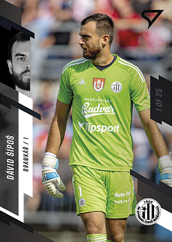 David Sipos Ceske Budejovice SportZoo FORTUNA:LIGA 2023/24 1. serie Black /25 #115