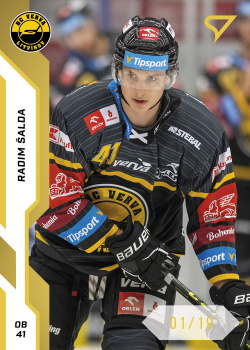 Radim Salda Litvinov Tipsport ELH 2022/23 SportZoo 1. serie Gold /19 #222