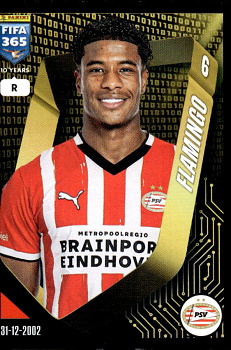 Ryan Flamingo PSV Eindhoven samolepka Panini FIFA 365 2025 #296