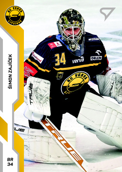 Simon Zajicek Litvinov Tipsport ELH 2022/23 SportZoo 2. serie #349