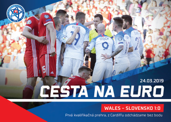 WALES - SLOVENSKO 1:0 Slovensko Slovenski Sokoli 2021 Cesta na EURO #CE02