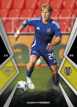 Adam Pesek Jihlava SportZoo Chance Narodni Liga 2025/26 #090