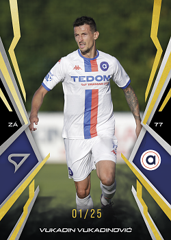 Vukadin Vukadinovic Artis Brno SportZoo Chance Narodni Liga 2025/26 Lemon Gold /25 #067