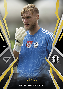 Filip Nalezinek Ceske Budejovice SportZoo Chance Narodni Liga 2025/26 Lemon Gold /25 #138