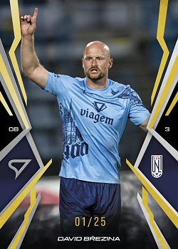 David Brezina Usti nad Labem SportZoo Chance Narodni Liga 2025/26 Lemon Gold /25 #160