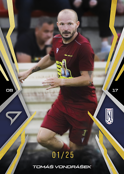 Tomas Vondrasek Usti nad Labem SportZoo Chance Narodni Liga 2025/26 Lemon Gold /25 #162
