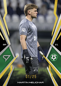 Martin Melichar Pribram SportZoo Chance Narodni Liga 2025/26 Lemon Gold /25 #170