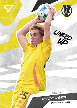 David Matousek Jihlava SportZoo Chance Narodni Liga 2025/26 Linked up #LU-24