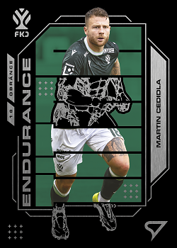 Martin Cedidla Jablonec SportZoo Chance Liga 2026/27 1. serie Endurance Titan #TI-07