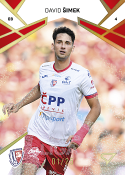 David Simek Pardubice SportZoo Chance Liga 2024/25 1. serie Gold Glitter /25 #137