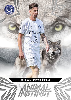 Milan Petrzela Slovacko SportZoo Chance Liga 2024/25 1. serie Animal Instinct #AI-12