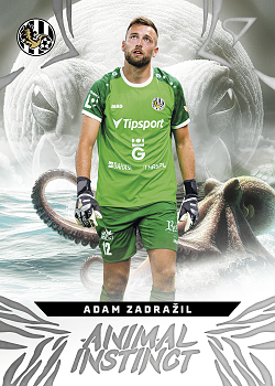 Adam Zadrazil Hradec Kralove SportZoo Chance Liga 2024/25 1. serie Animal Instinct #AI-13