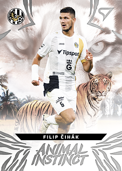 Filip Cihak Hradec Kralove SportZoo Chance Liga 2024/25 1. serie Animal Instinct #AI-14