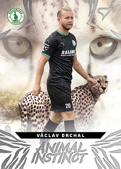 Vaclav Drchal Bohemians Praha SportZoo Chance Liga 2024/25 1. serie Animal Instinct #AI-30