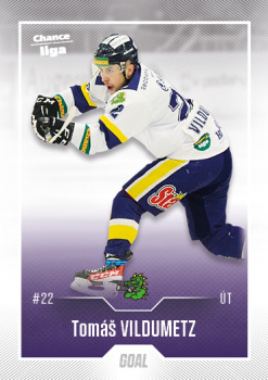Tomas Vildumetz Sumperk Chance liga 2022/23 2. serie GOAL Cards #379