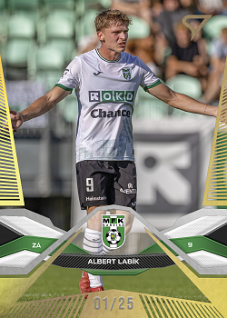 Albert Labik Karvina SportZoo Chance Liga 2025/26 1. serie Gold /25 #114