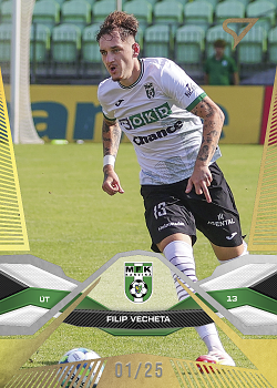 Filip Vecheta Karvina SportZoo Chance Liga 2025/26 1. serie Gold /25 #120