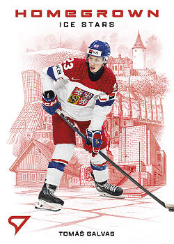 Tomas Galvas Reprezentace Hokejove Cesko 2026 SportZoo Homegrown Ice Stars #HS-04