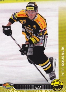 Petr Kousalik Litvinov OFS 2013/14 #283