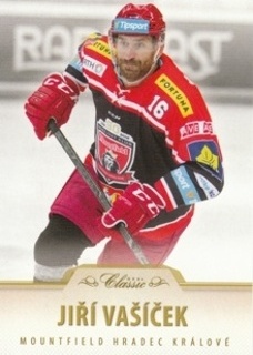 Jiri Vasicek Hradec Kralove OFS 2015/16 Serie I. #133
