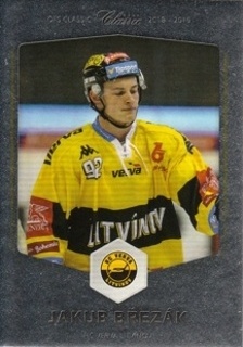 Jakub Brezak Litvinov OFS 2018/19 Serie II. Silver /55 #497