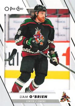 Liam O'Brien Arizona Coyotes Upper Deck O-Pee-Chee 2023/24 #322
