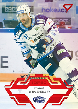 Tomas Vincour Kometa Brno Tipsport ELH 2023/24 SportZoo 2. serie Goal Light /60 #310