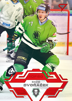 David Dvoracek Mlada Boleslav Tipsport ELH 2023/24 SportZoo 2. serie Goal Light /60 #333
