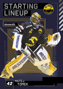 Matej Tomek Litvinov Tipsport ELH 2023/24 SportZoo 2. serie Starting LINEUP #SL-61