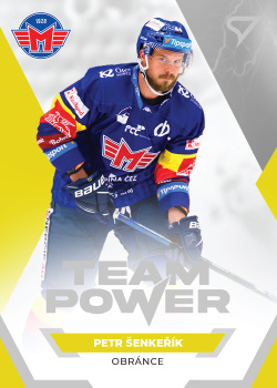 Petr Senkerik Ceske Budejovice Tipsport ELH 2021/22 SportZoo 1. serie Team Power #TP-40