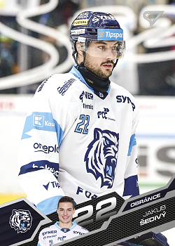 Jakub Sedivy Liberec Tipsport ELH 2025/26 SportZoo 2. serie #333