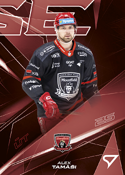 Alex Tamasi Hradec Kralove Tipsport ELH 2025/26 SportZoo 2. serie Powerhouse #PH-033