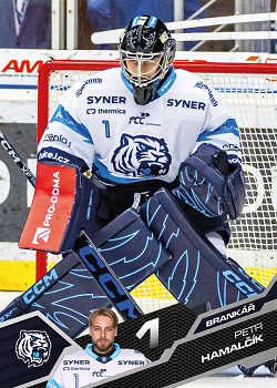 Petr Hamalcik Liberec Tipsport ELH 2025/26 SportZoo 1. serie #181