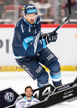 Adam Musil Liberec Tipsport ELH 2025/26 SportZoo 1. serie #190