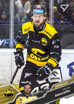 Petr Senkerik Litvinov Tipsport ELH 2025/26 SportZoo Play Off #401