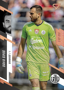 David Sipos Ceske Budejovice SportZoo FORTUNA:LIGA 2023/24 1. serie Cooper /100 #115